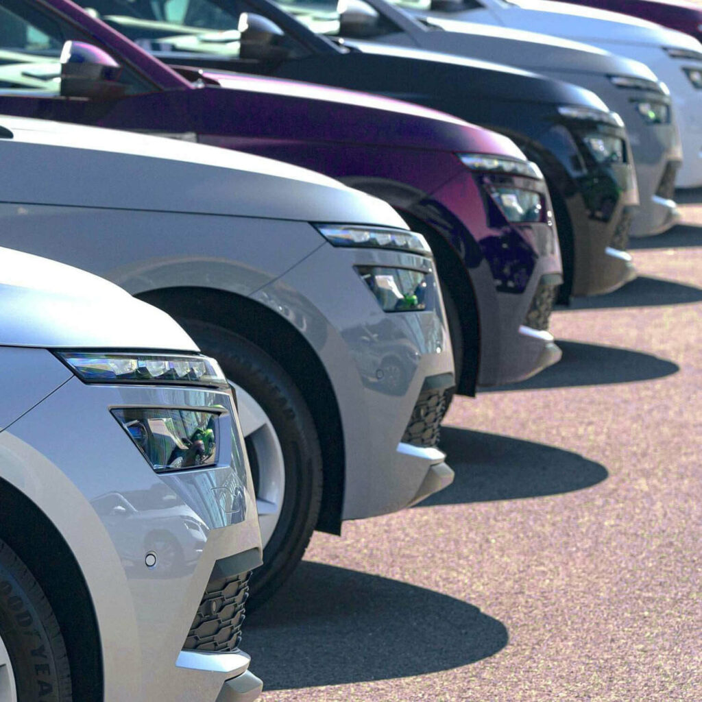 Flottenverwaltung durch Verifizierung des Führerscheins